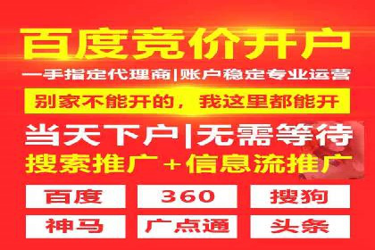 XX行业竞价广告的创意与执行：一则成功案例剖析
